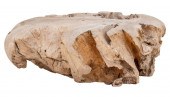 MODERNIST DRIFTWOOD STUMP LOW