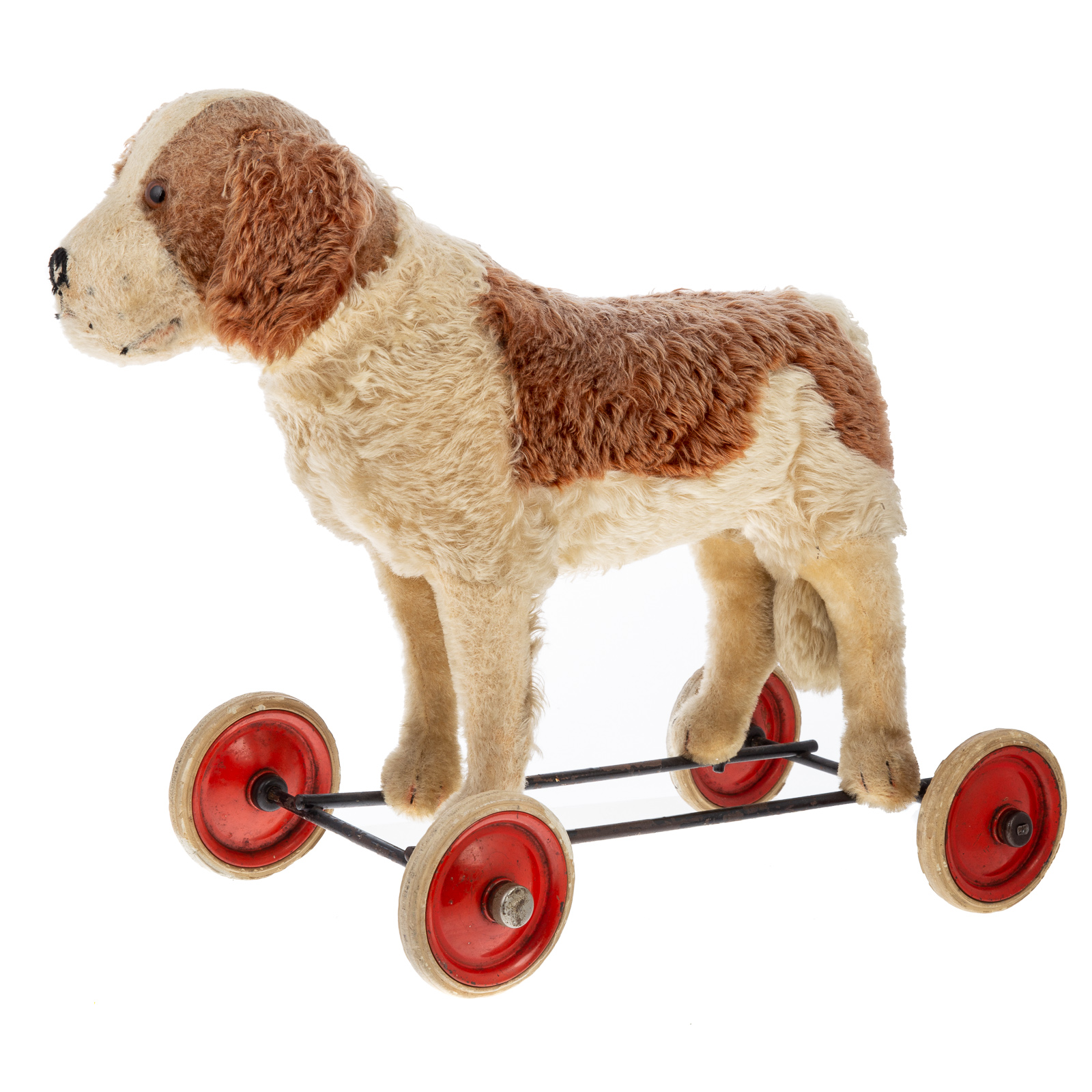 MOHAIR SAINT BERNARD ON WHEELS