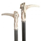MOMENTO MORI CANE20th Century-