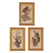 MONKEY ENGRAVINGS GROUP OF THR