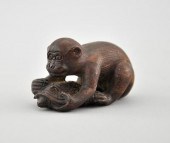 Monkey Playing with Tortoise W