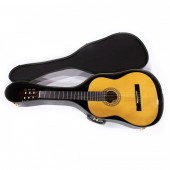 MONTANA SIX STRING ACOUSTIC GU