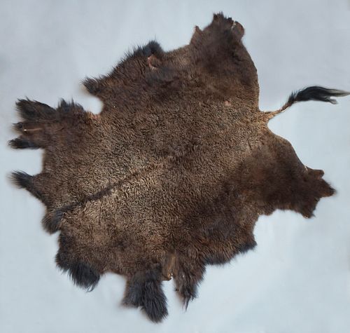 MONTANA WILD AMERICAN BISON FUR