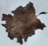 MONTANA WILD AMERICAN BISON FU