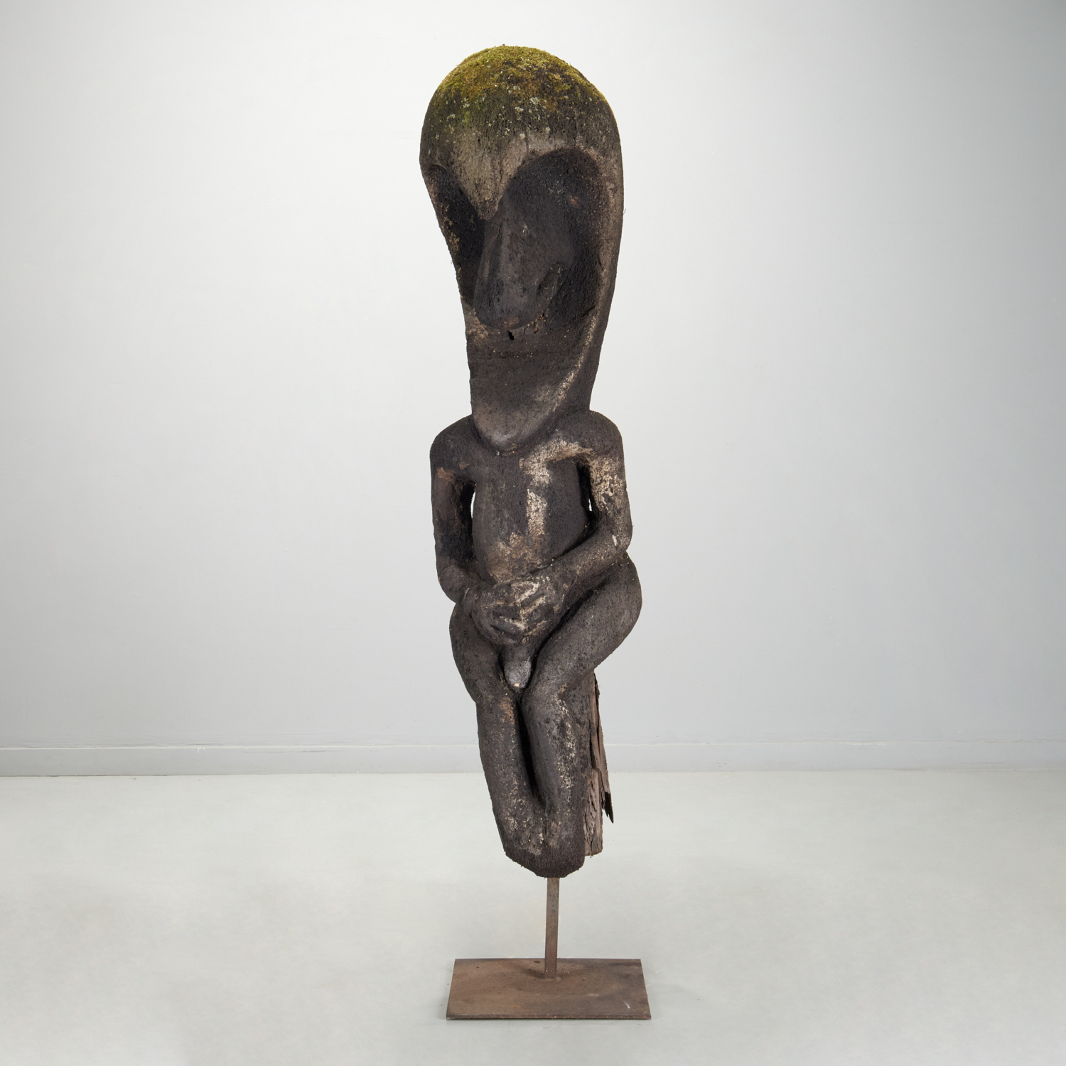 MONUMENTAL VANUATU FERNWOOD