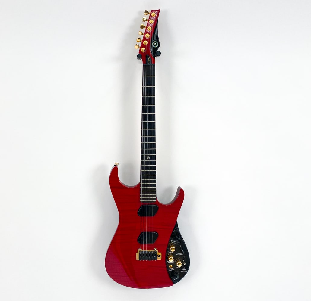 MOOG E1 RED PAUL VO ELECTRIC GUITAR