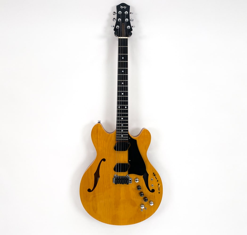 MOOG WES LAMBE CUSTOM HOLLOW BODY