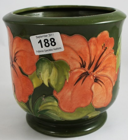 Moorcroft Large Coral Hibiscus