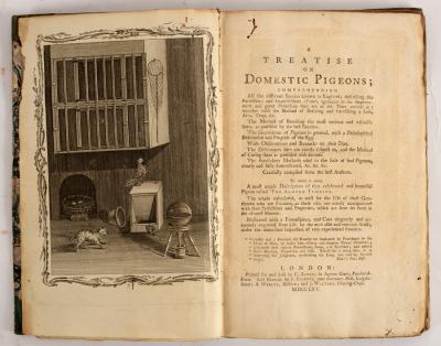 [Moore John] A Treatise on Domestic