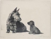 MORGAN DENNIS, ETCHING OF DOGS