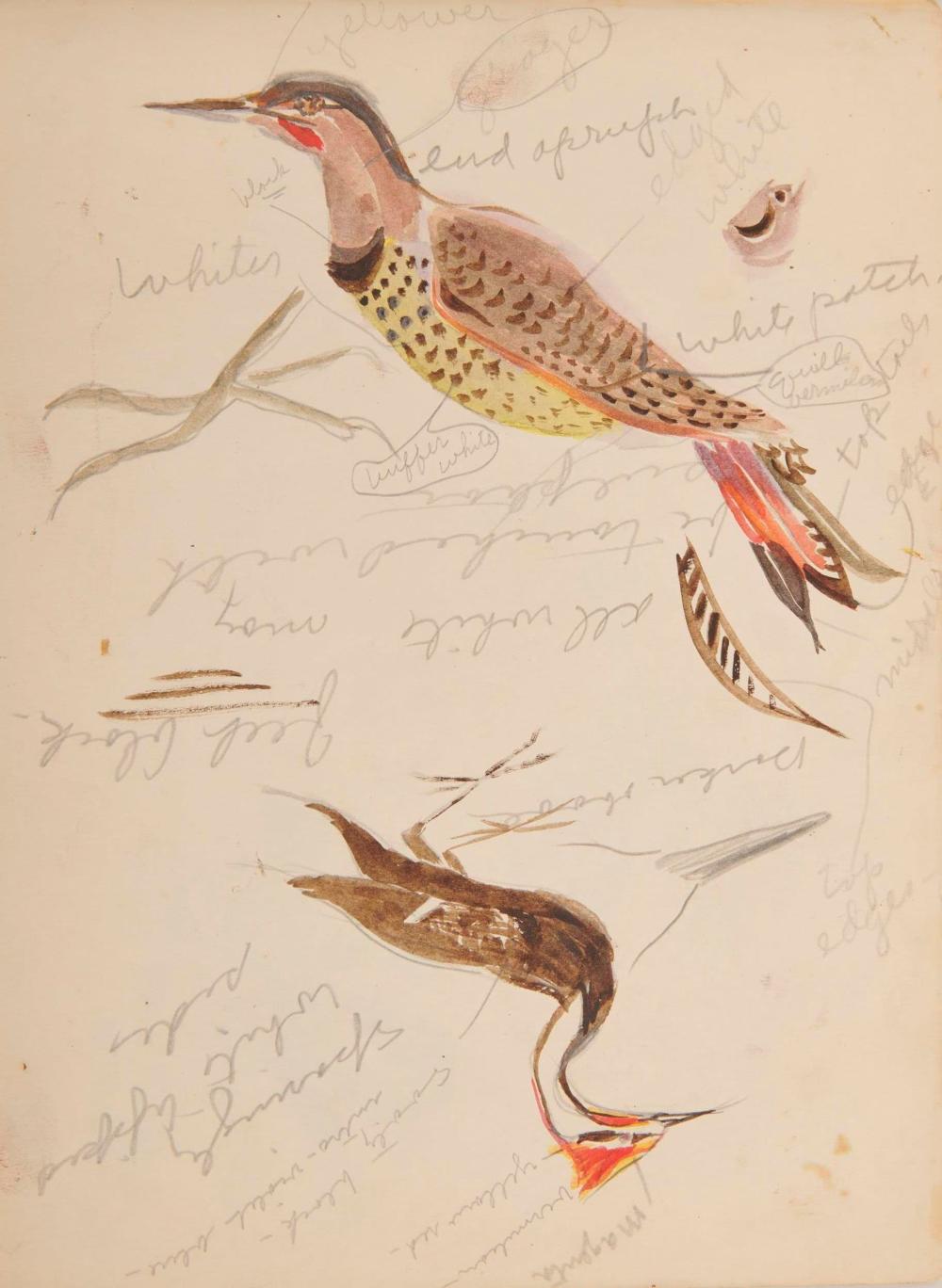 MORRIS GRAVES, (AMERICAN,