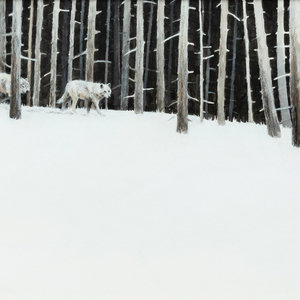 Morten Solberg (American, b.