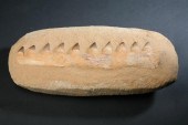 MOSASAUR PARTIAL JAW BONE FOSS