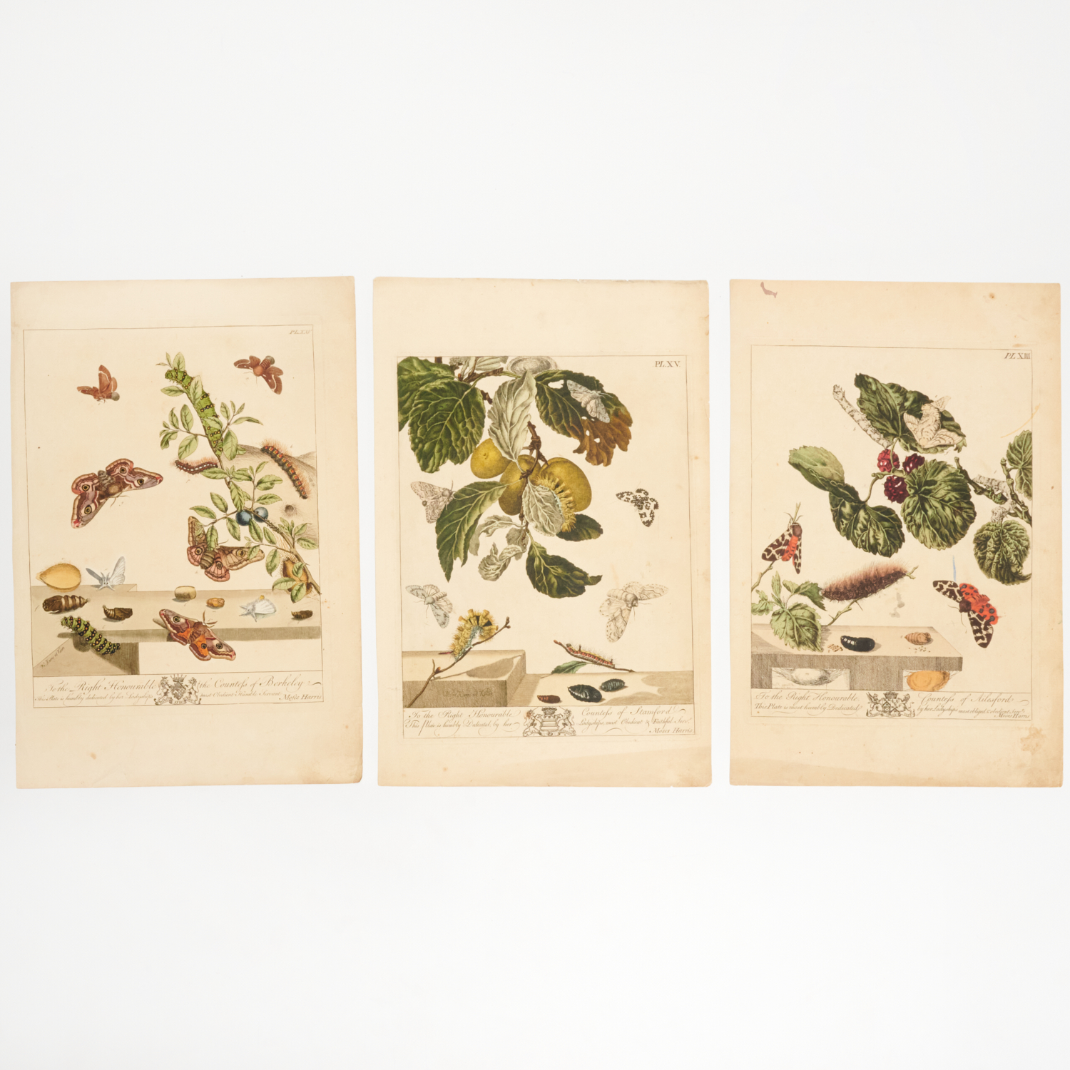 MOSES HARRIS, (3) ENGRAVINGS FROM