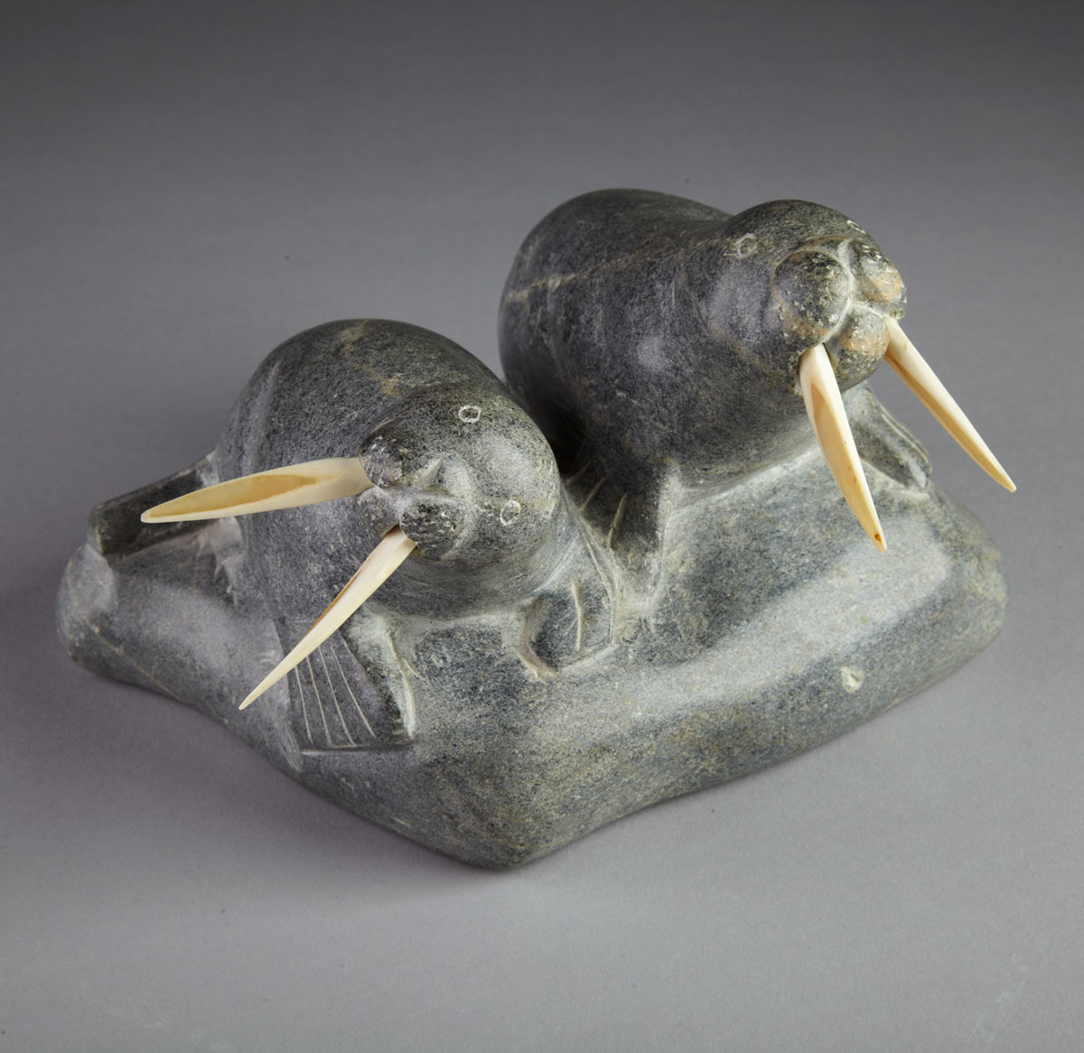 MOSES ILISITUK   Salluit WALRUSES