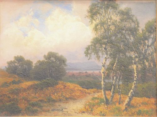 MOUNTAINOUS LANDSCAPE WITH WHITE