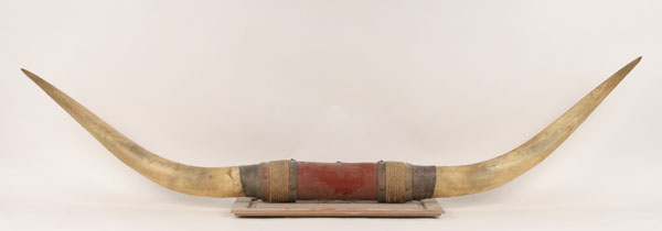 Mounted longhorn steer horns;