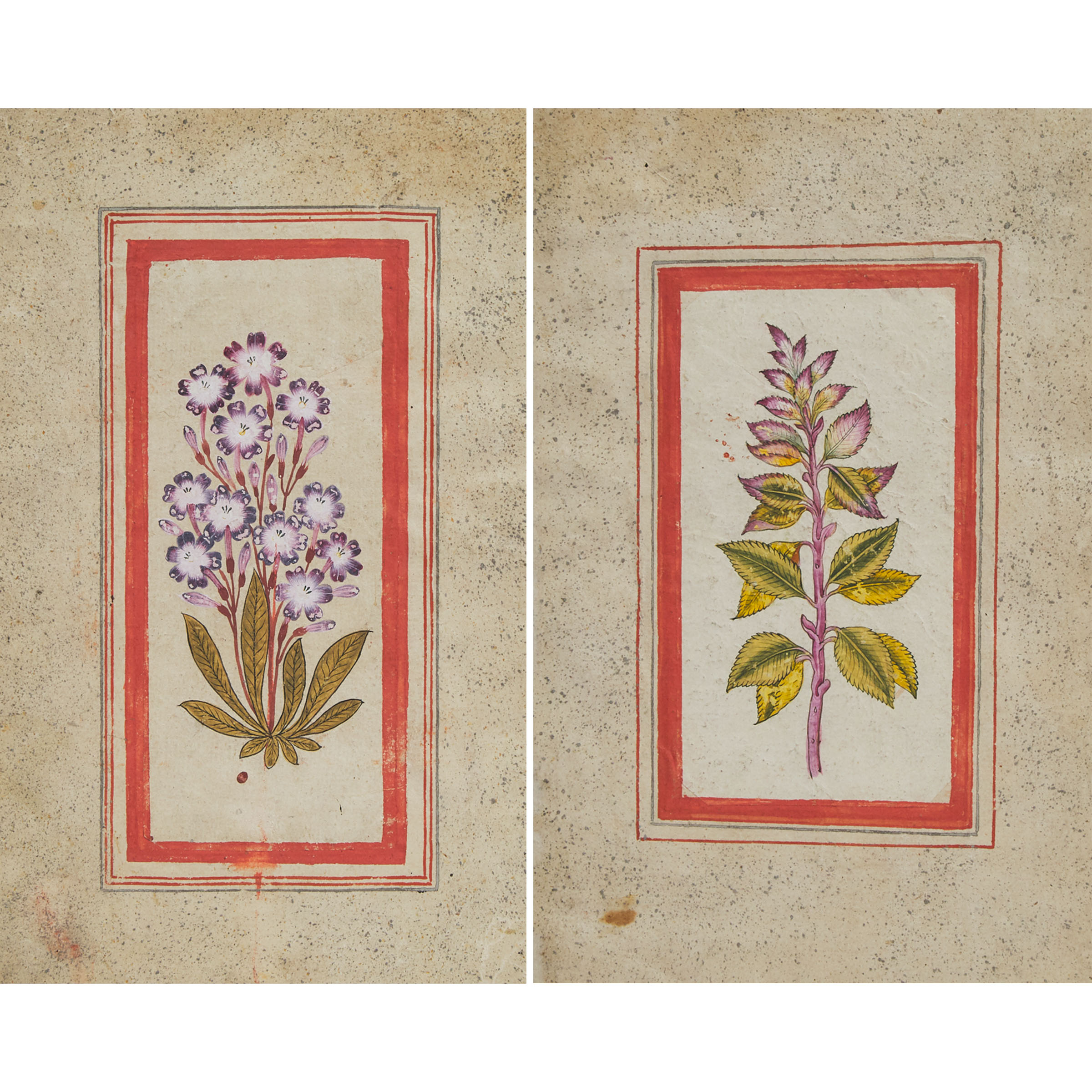 Mughal School, A Double-Sided