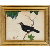 MUGHAL SCHOOL, FINE GOUACHE BI