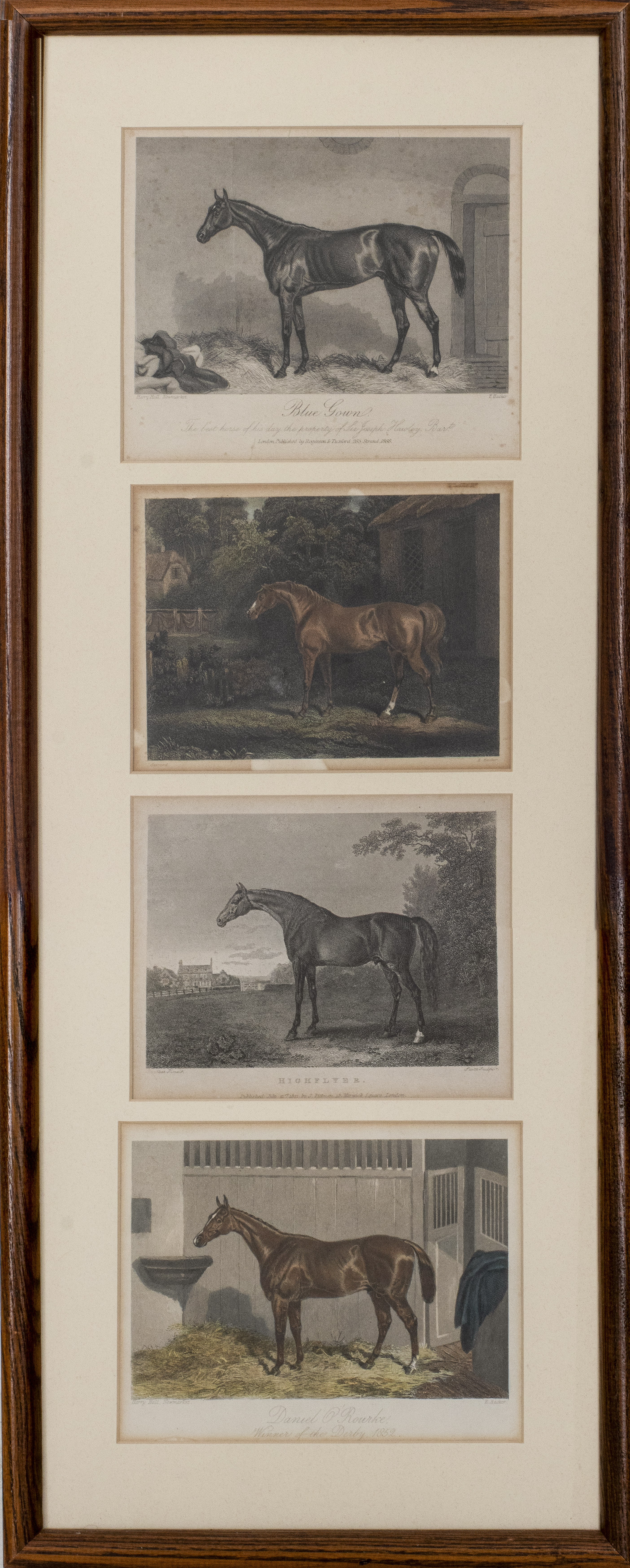 MULTIPLE ARTISTS, EQUINE