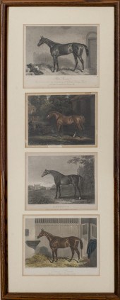 MULTIPLE ARTISTS, EQUINE ENGRA