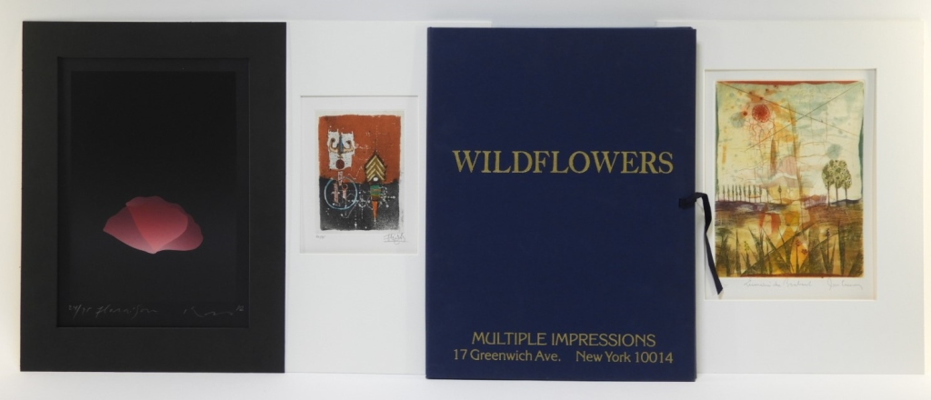 MULTIPLE IMPRESSIONS NY WILDFLOWERS