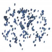 MULTIPLE UNMOUNTED 16.40 CARAT