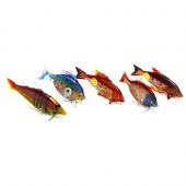 MURANO GLASS TROPICAL FISH ASS