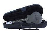 MUSICAL INSTRUMENT: BLACKBIRD