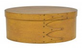 MUSTARD PAINTED SHAKER FINGER