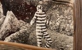 MUTOSCOPE REEL. CHARLIE CHAPLI