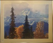 MYRON ROSENBERG, DENALI, TRAPP