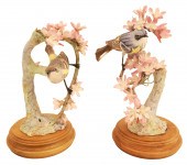 MYRTLE WARBLERS BY DOROTHY DOU