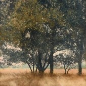 NANCY CONRAD (AMERICAN/TEXAS B