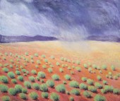 Nancy Denison, 20th-21st C Ame