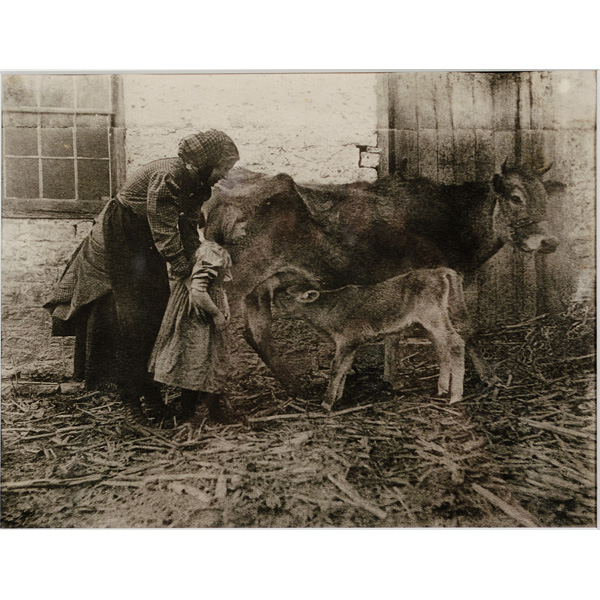 Nancy Ford Cones (1869-1962) The