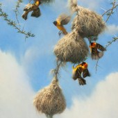 Nancy Howe
(American b. 1950)