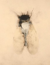 NANCY RANDALL CICADA LITHOGRAP