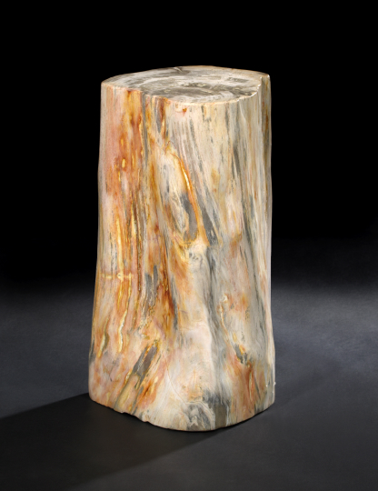Narrow Petrified Wood Trunk