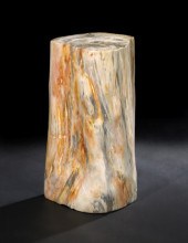 Narrow Petrified Wood Trunk Se