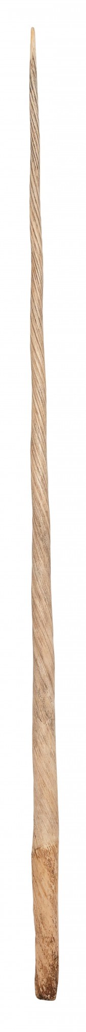 NARWHAL TUSK 19TH CENTURY LENG