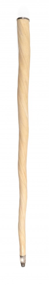 NARWHAL TUSK CANE WITH STERLIN
