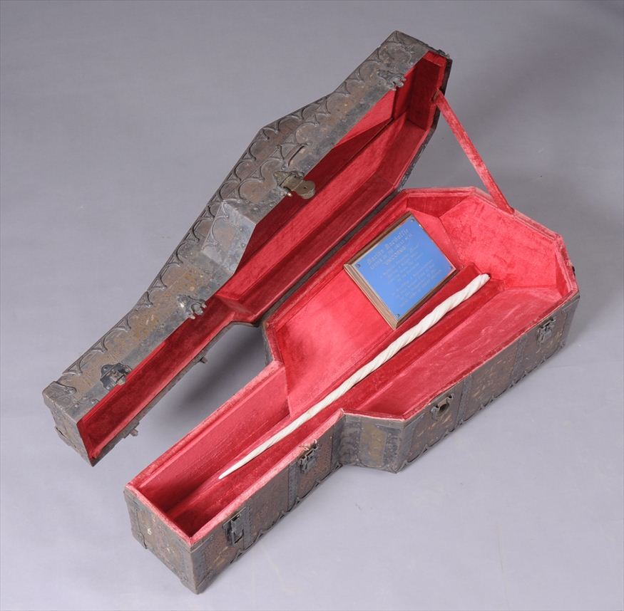 NARWHAL TUSK ENCLOSED IN SHAPED