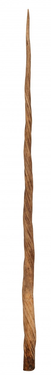 * NARWHAL TUSK PROBABLY 19TH C