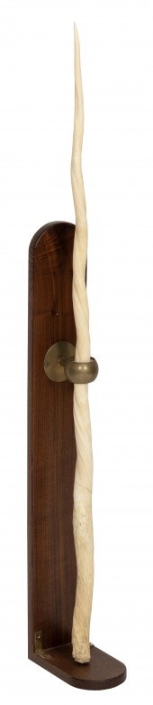 * NARWHAL TUSK TUSK LENGTH 50.