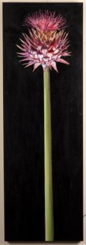 Natalie Toplass (Contemporary)
