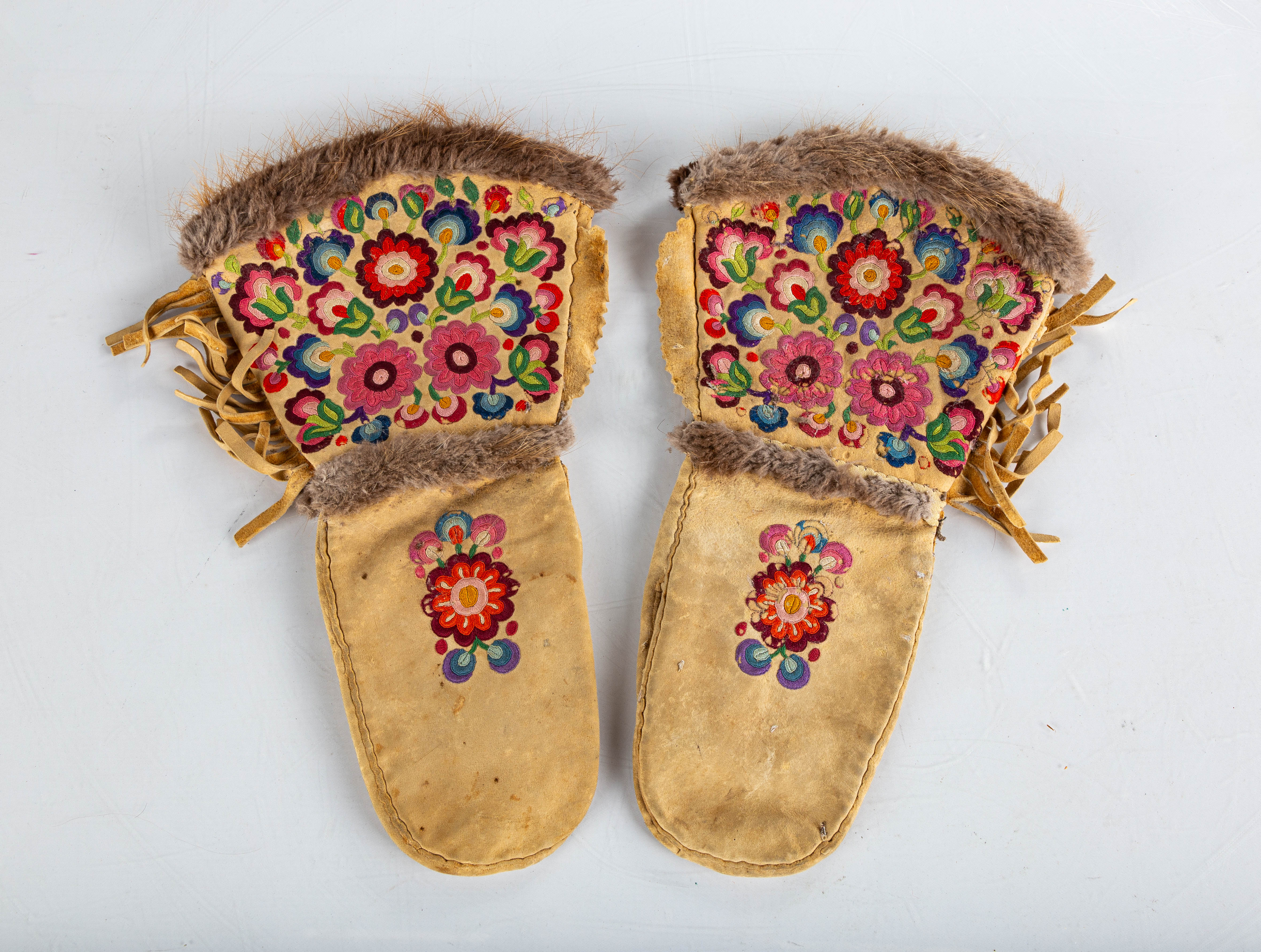 NATIVE AMERICAN CREE-METIS