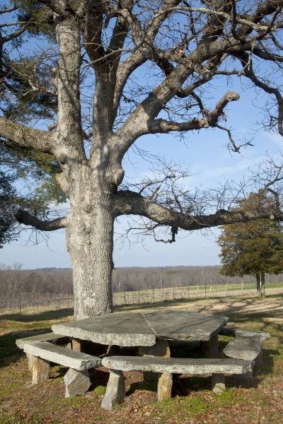 Native North Carolina Stone Table