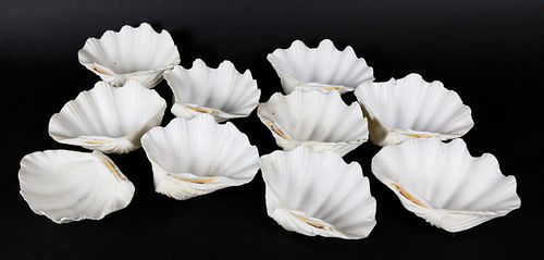NATURAL CLAM SHELL BOWLSNatural