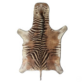 NATURAL FULL WILD ZEBRA HIDE A